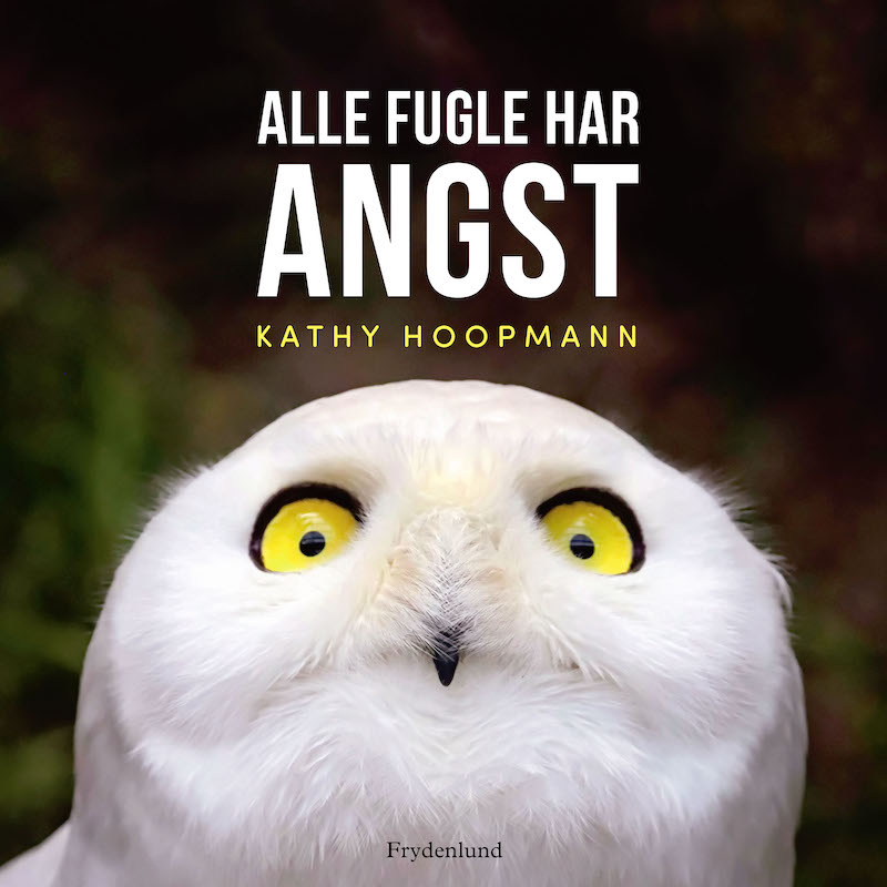 Alle fugle har angst